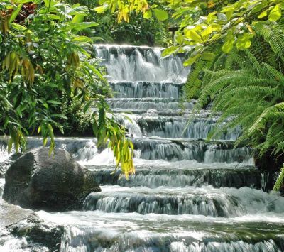 Cascada Serena en Vegetación Verde