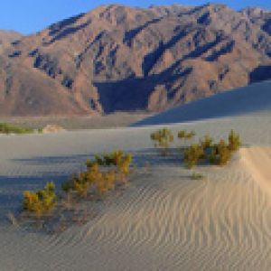 Paisaje desértico con montañas