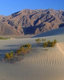 Paisaje desértico con montañas