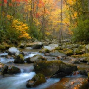Arroyo de Otoño
