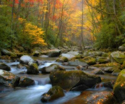 Arroyo de Otoño