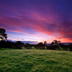 Impresionante Atardecer Sobre Campos Verdes