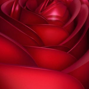 Diseño de Rosa Roja Elegante