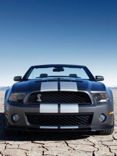Shelby Mustang GT500