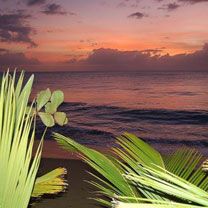 Atardecer Tropical sobre el Océano