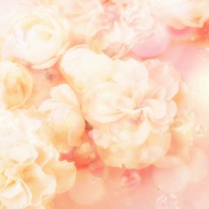 Fondo Floral Rosa Suave
