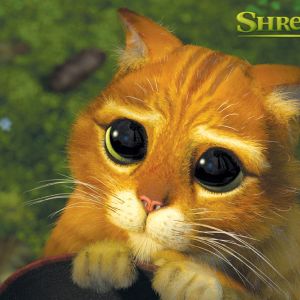 Gato con Botas de Shrek