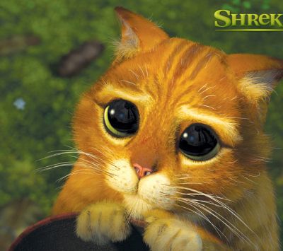 Gato con Botas de Shrek