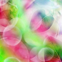 Hojas Abstractas Coloridas