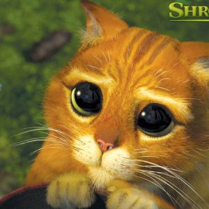 Gato con Botas de Shrek