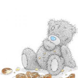 Teddy Bear Adorable con Galletas