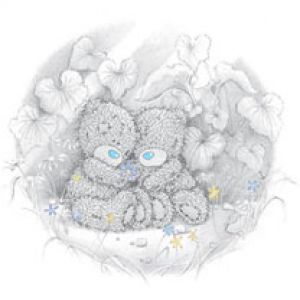 Ositos de Peluche Adorables