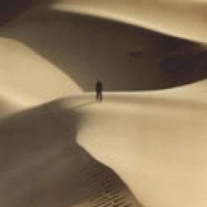 Paisaje de Dunas del Desierto