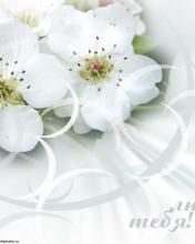 Flores Blancas Delicadas