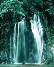 Cascada Serena en un Bosque Frondoso