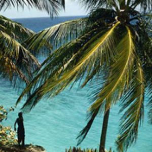 Paraíso Tropical