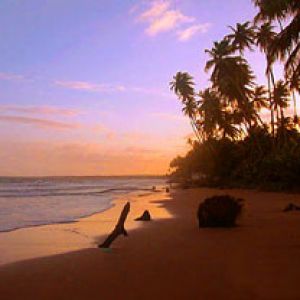 Atardecer en Playa Tropical