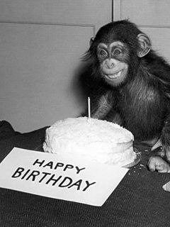 Celebración de cumpleaños con un mono