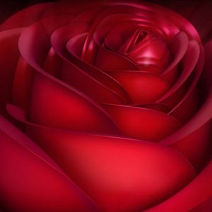 Hermosa Rosa Roja