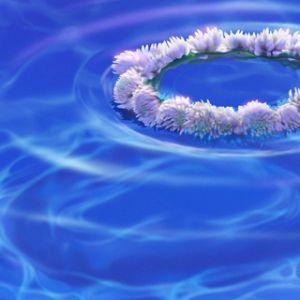 Corona de flores en el agua
