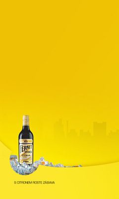 Botella Fernet Stock Citrus