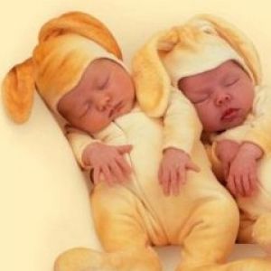 Bebés Adorables de Conejo