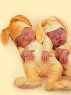 Bebés Adorables de Conejo