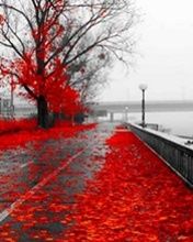 Hojas Rojas de Otoño