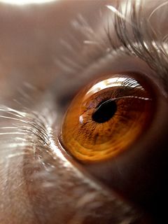 Primer plano de un ojo