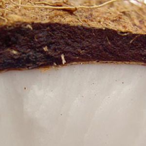 Textura Natural de Suelo y Roca