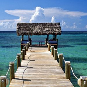 Muelle Tropical