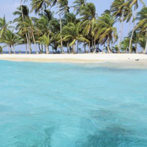 Playa del Paraíso Tropical