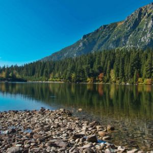 Lago de Montaña Sereno