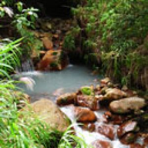 Arroyo Sereno en el Bosque