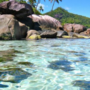 Paraíso Tropical