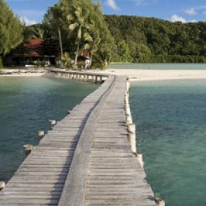 Muelle Tropical