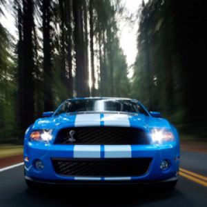 Shelby Mustang Azul en la Carretera