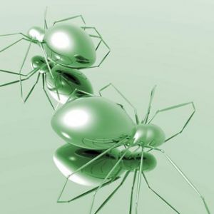 Insectos Abstractos Verdes