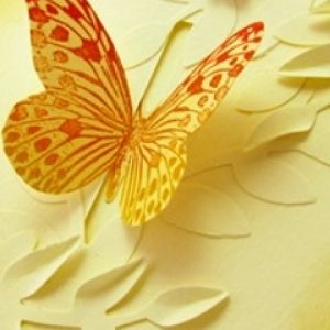 Arte de Mariposa Colorida