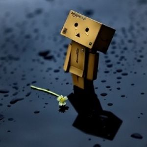 Linda figura Danbo con flor