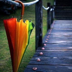 Paraguas Colorido en un Sendero