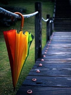 Paraguas Colorido en un Sendero