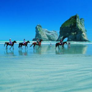Paseo a Caballo en la Playa