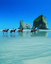 Paseo a Caballo en la Playa