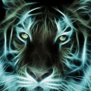 Retrato de tigre brillante
