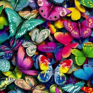Fondo de Mariposas Coloridas