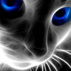 Gato Místico de Ojos Azules