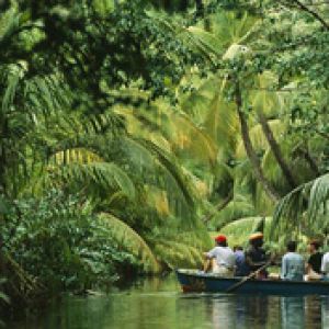 Río de Selva Sereno