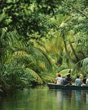 Río de Selva Sereno