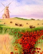 Molino de Viento en el Campo